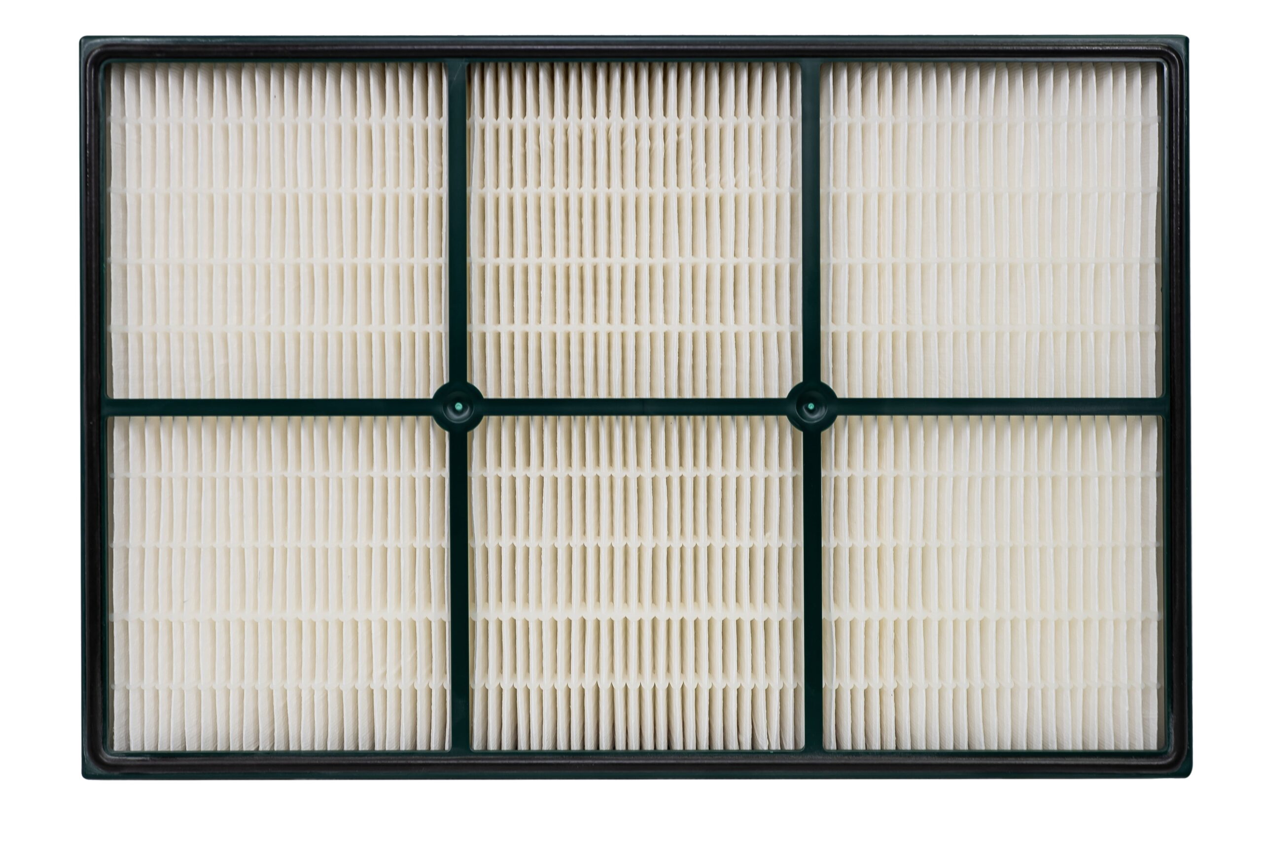 30938__3 True HEPA QuietFlo Replacement Filter 30938 - Image 1